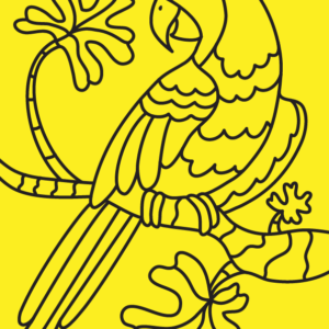 PARROT