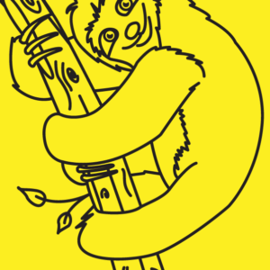 Sloth