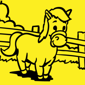 Pony