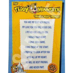 'MAKE A BEAR' PROMISE (10PK)